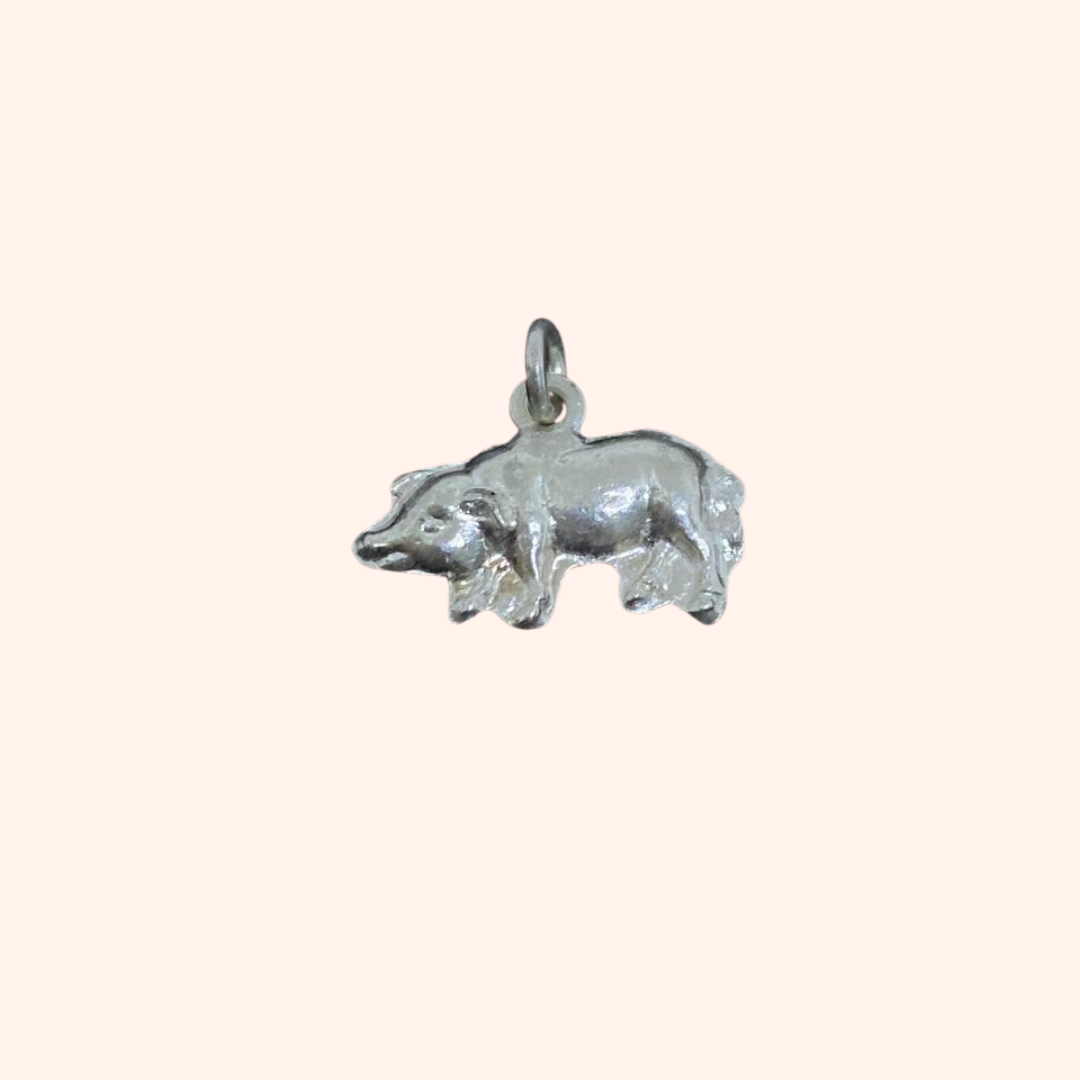 Pendentifs Astrologiques Chinois et Cambodgiens en Argent