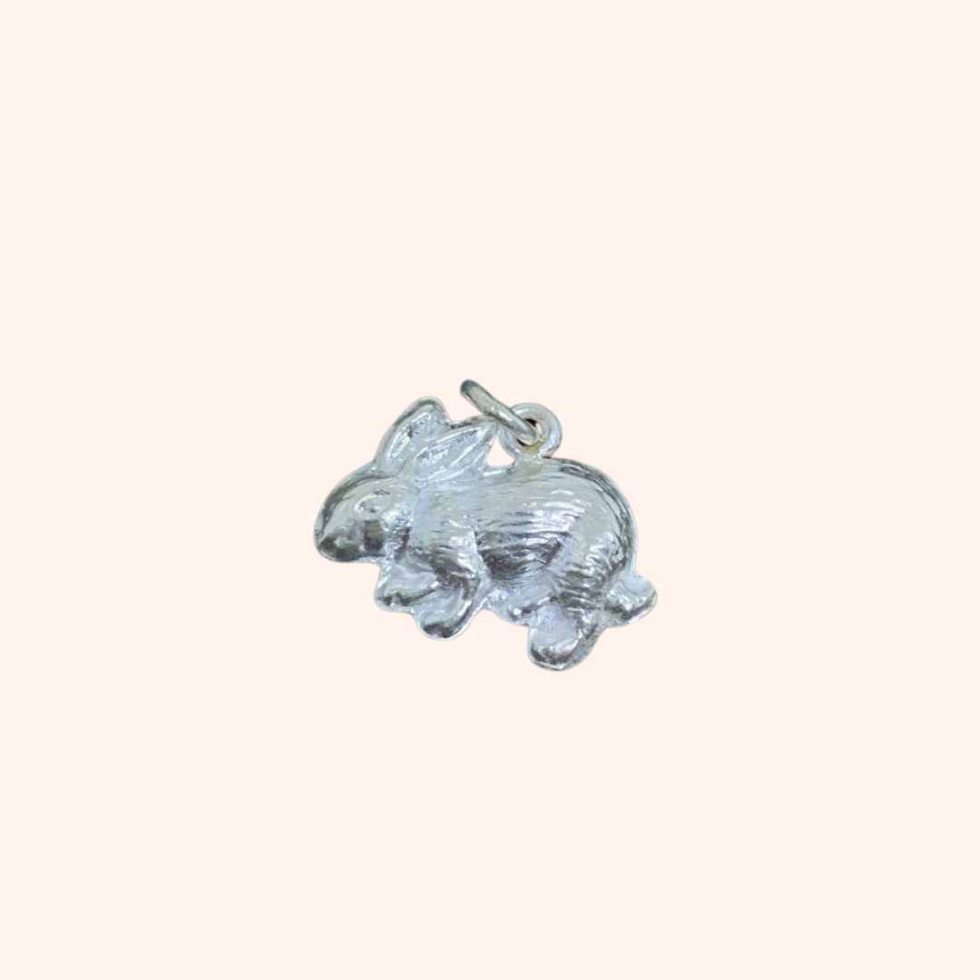 Pendentifs Astrologiques Chinois et Cambodgiens en Argent