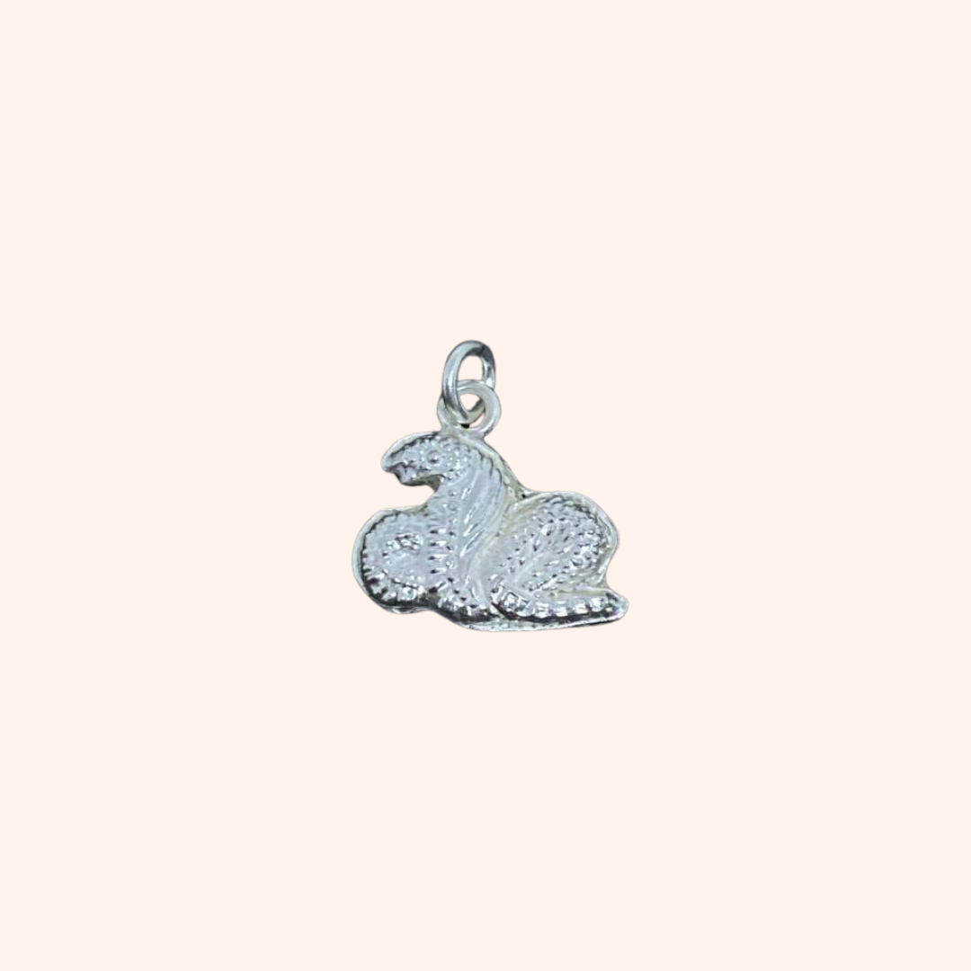 Pendentifs Astrologiques Chinois et Cambodgiens en Argent