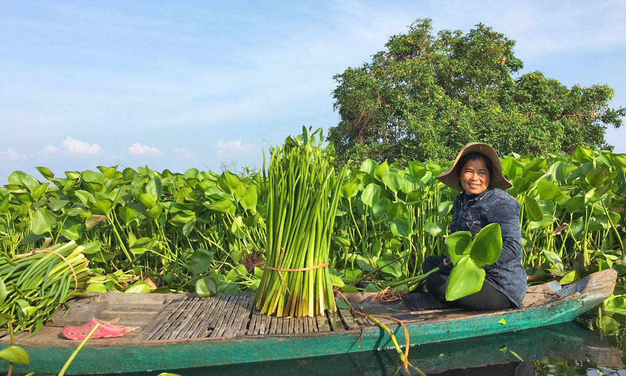 Sac à main Lady Bug (M) by Rokhak
