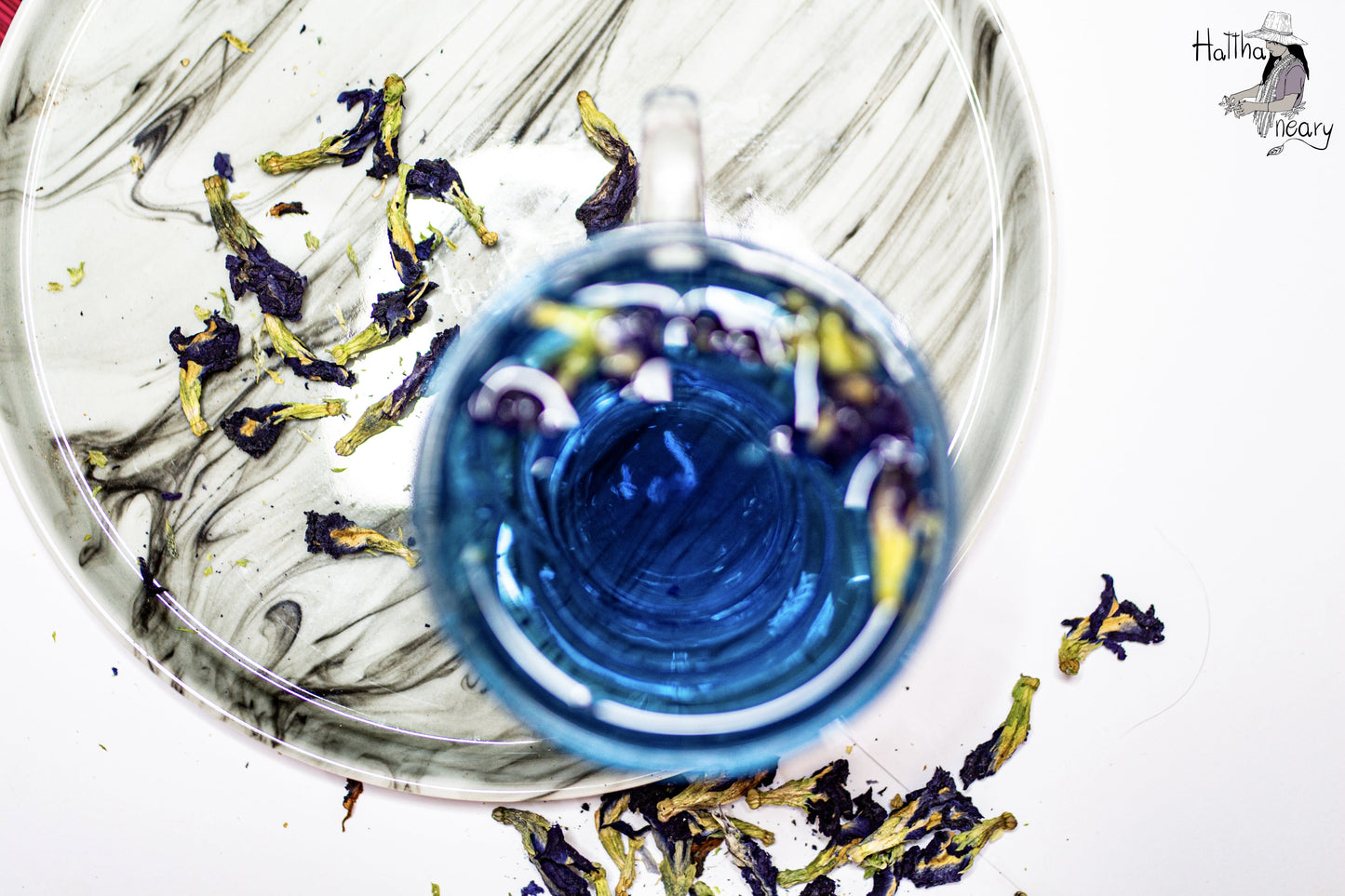 the infusion pois papillon