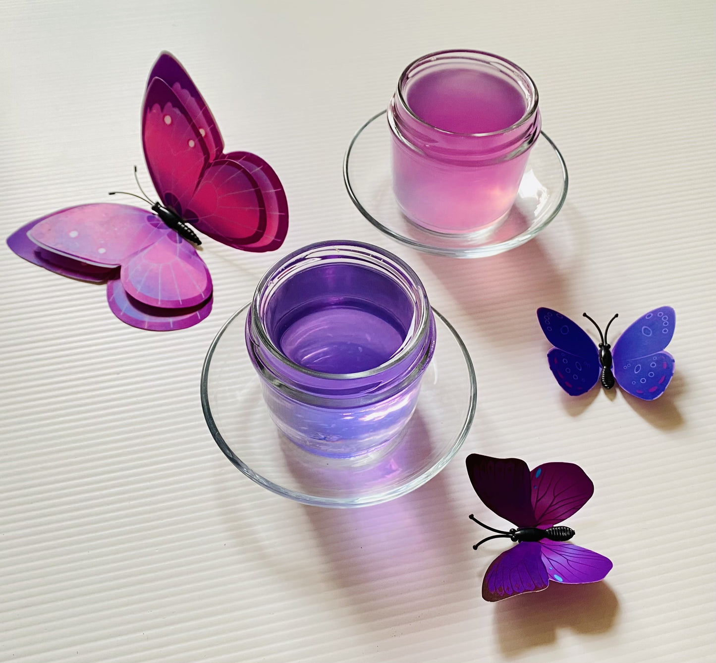 the infusion pois papillon