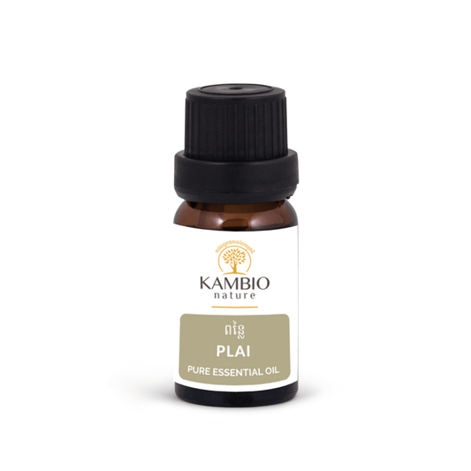 HUILE ESSENTIELLE - PLAI