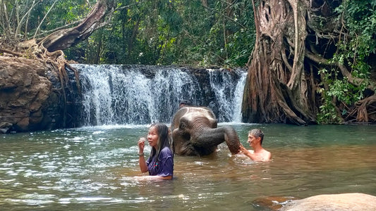 Mondulkiri : Une évasion sauvage et culturelle au Cambodge