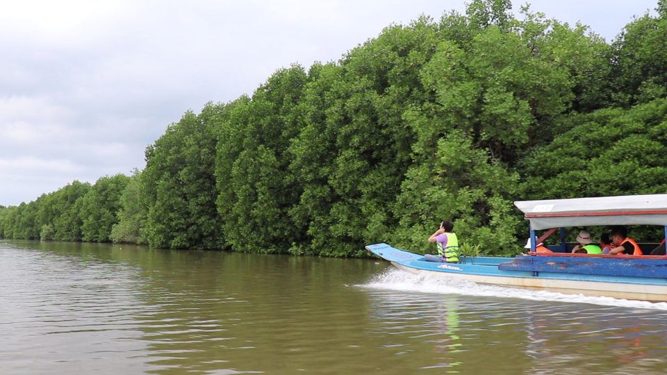 Les trésors cachés de la mangrove de Trapaing Sangke