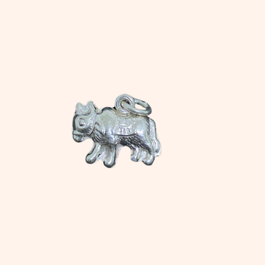 Pendentifs Astrologiques Chinois et Cambodgiens en Argent