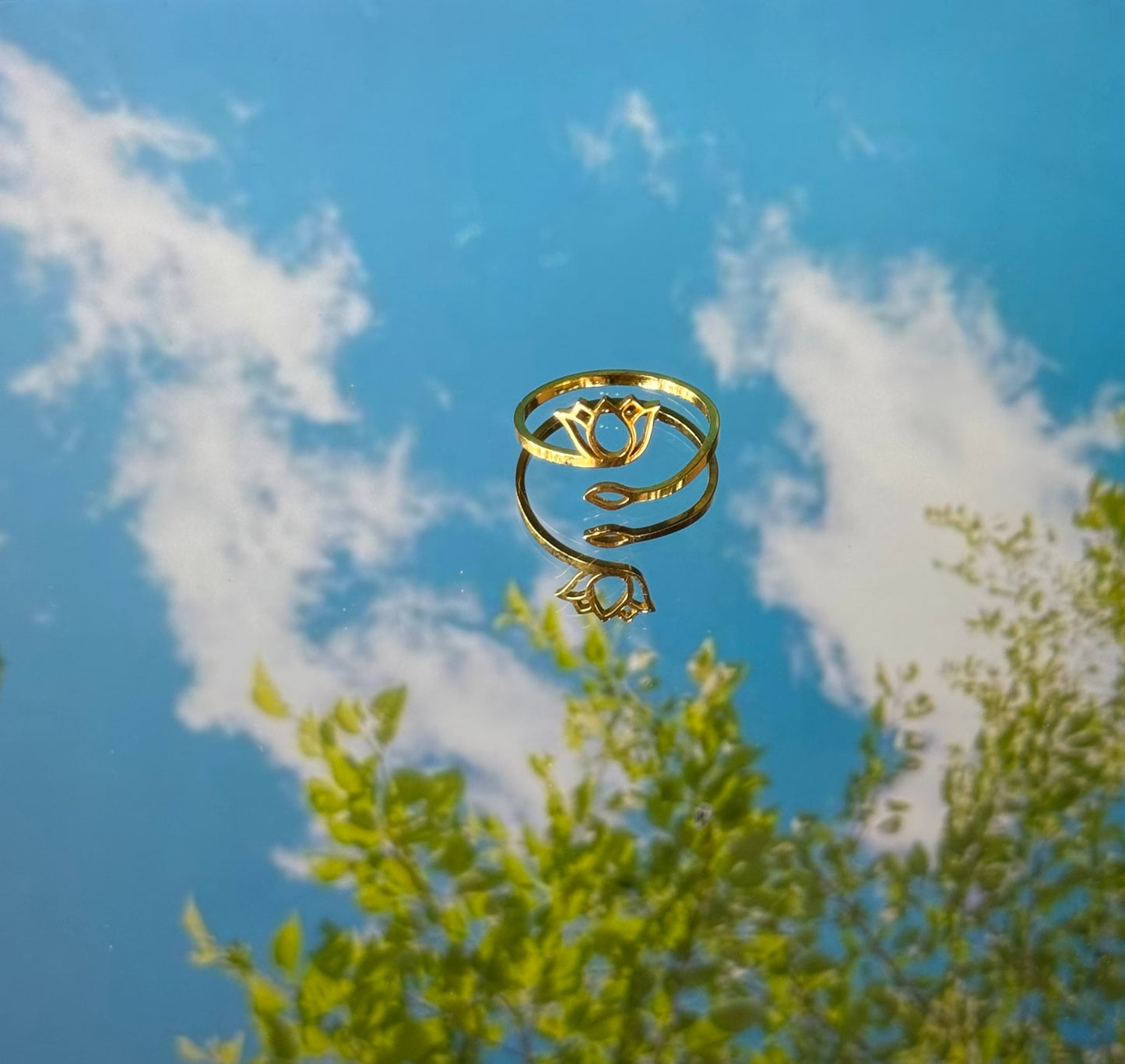 Bague Pka Chhouk par Say Seing