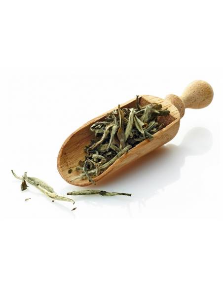 Thé blanc bio de Chine - Paï Mu Tan - Poche vrac - 50g